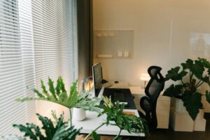 Tips for Creating an Eco-Friendly Home Office Space